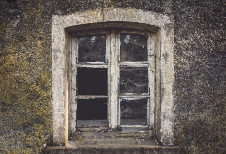 Read more about the article “Archaic English: A Window to the Past”